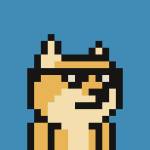 fly loong Profile Picture