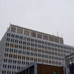 emily carter Profile Picture