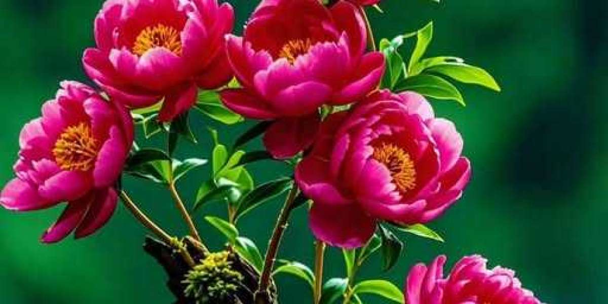 Yankees vs. Guardians ALDS Recreation 4 commencing lineups and pitching matchup