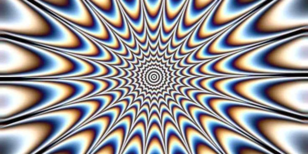 Your Betbhai9 Login Guide: Accessing the Betbhai9 Club & Sportsbook