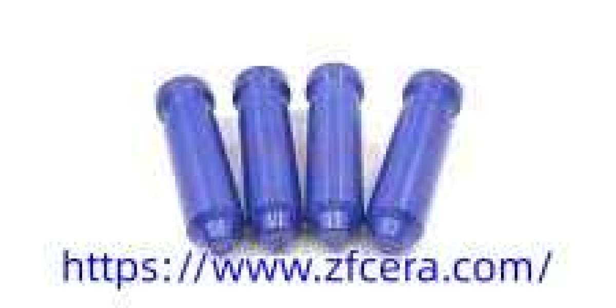 Can Ceramic Plunger Provide Long Term Stability And Efficiency Zhufa