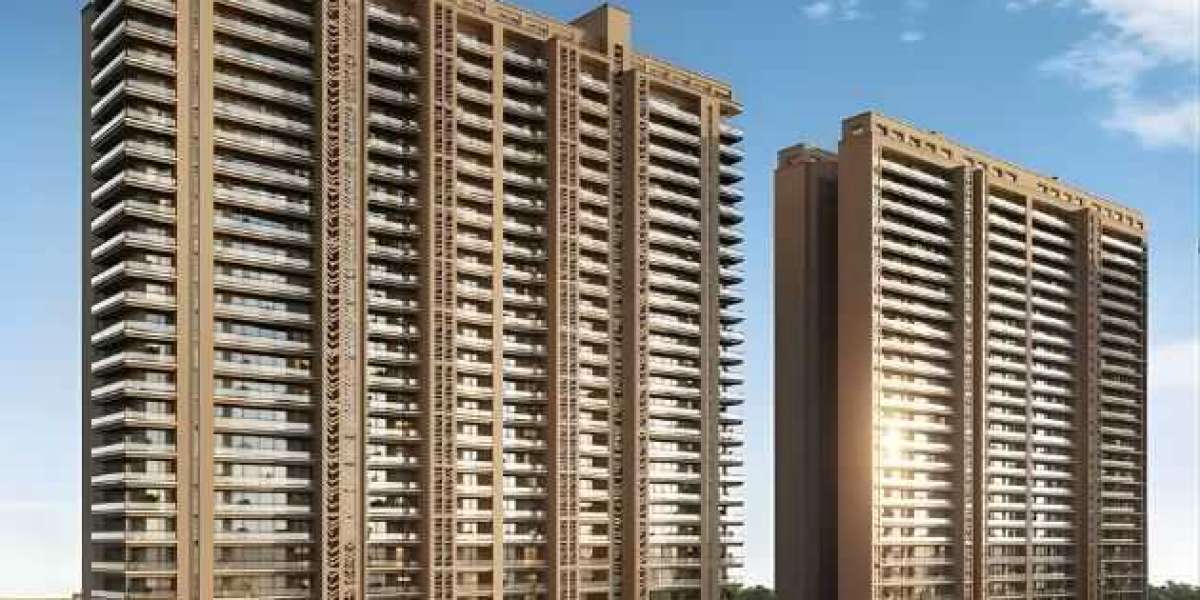 Why Smart Money is Moving to Elan The Statement in 2026