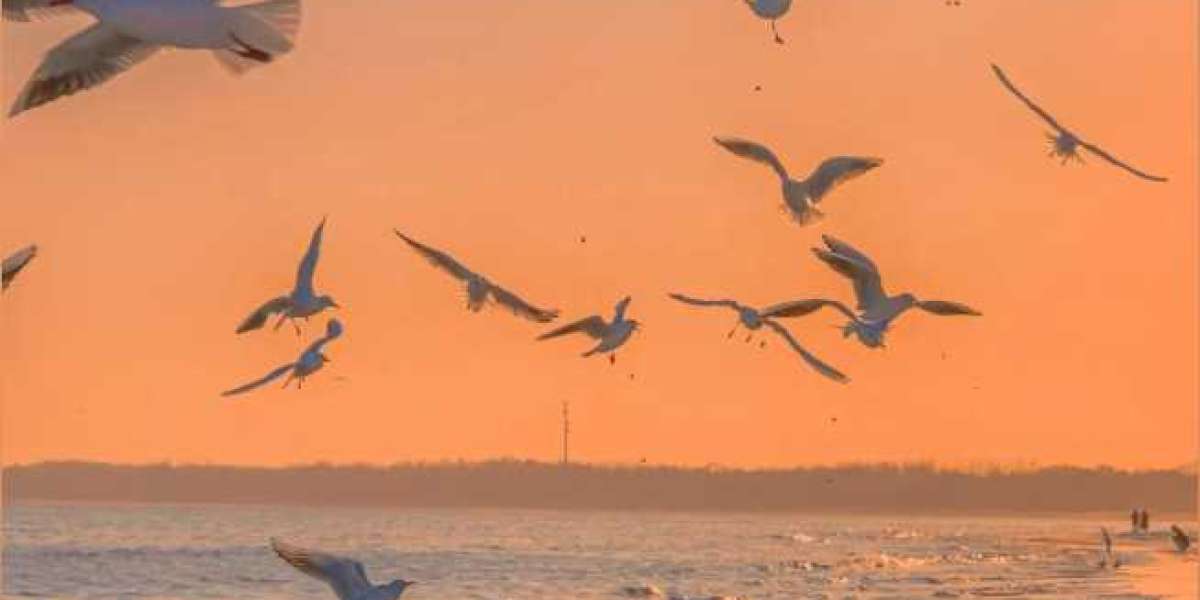 U4GM What to Stockpile Now for Diablo 4 Next Season