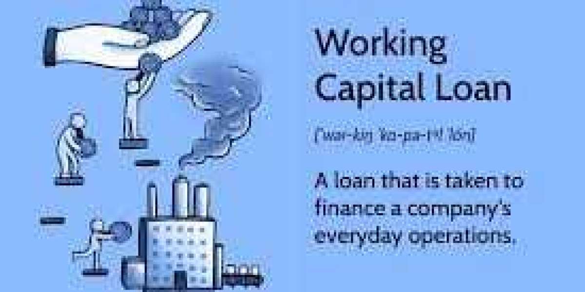 Understanding the Impact of Digital Transformation on the Working Capital Loan Market Growth and Accessibility
