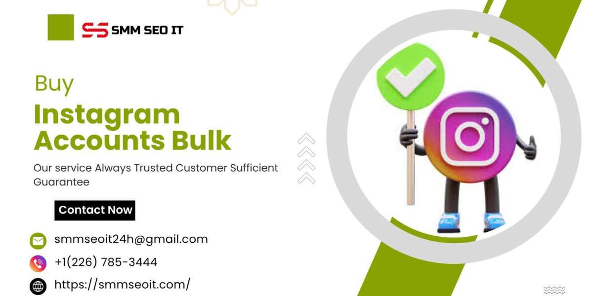 20 Reasons to Buy Instagram Accounts Bulk for Your Business