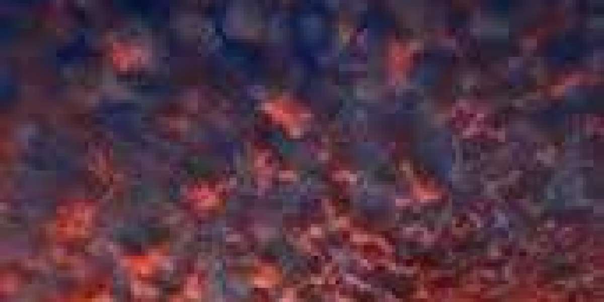 buy old Gmail Accounts