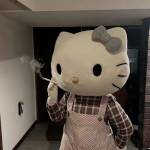 Buy Old GitHub Accounts Profile Picture