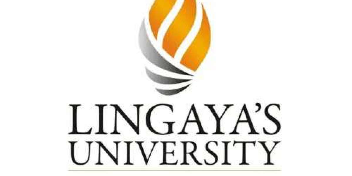 Why Lingaya's Vidyapeeth is the Best BCA College in Delhi NCR