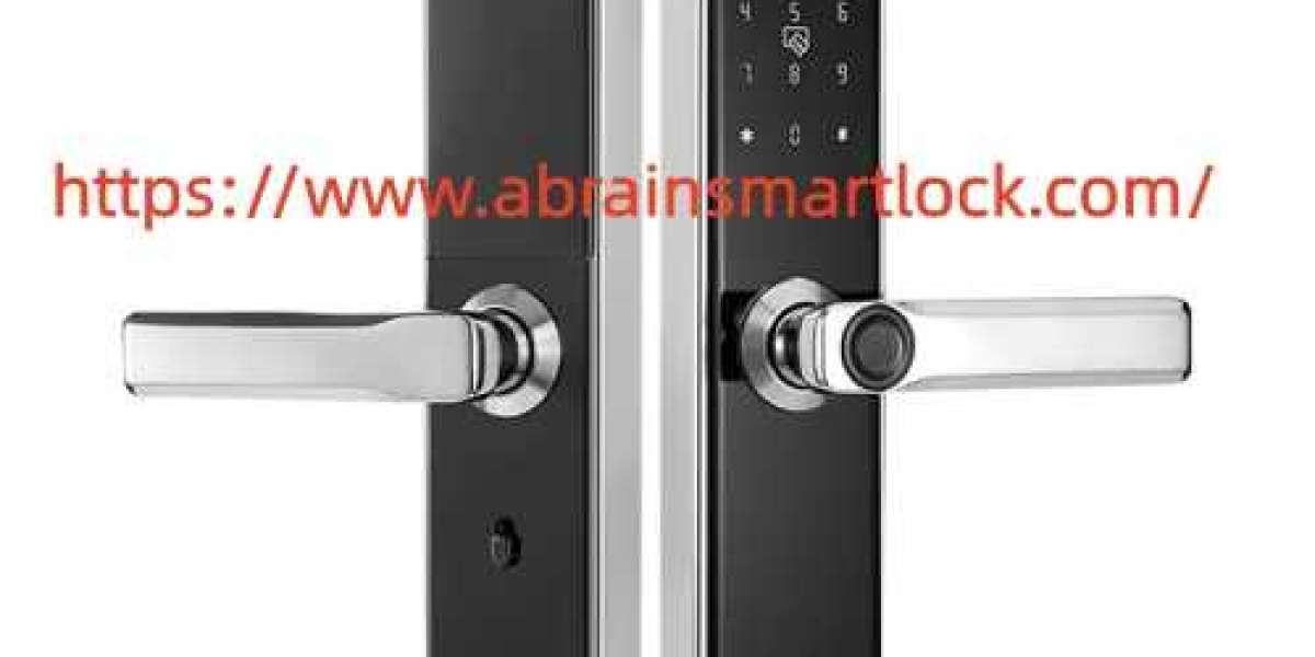 Which Features Should Abrainsmartlock 304 Stainless Steel Smart Lock Include For Homes