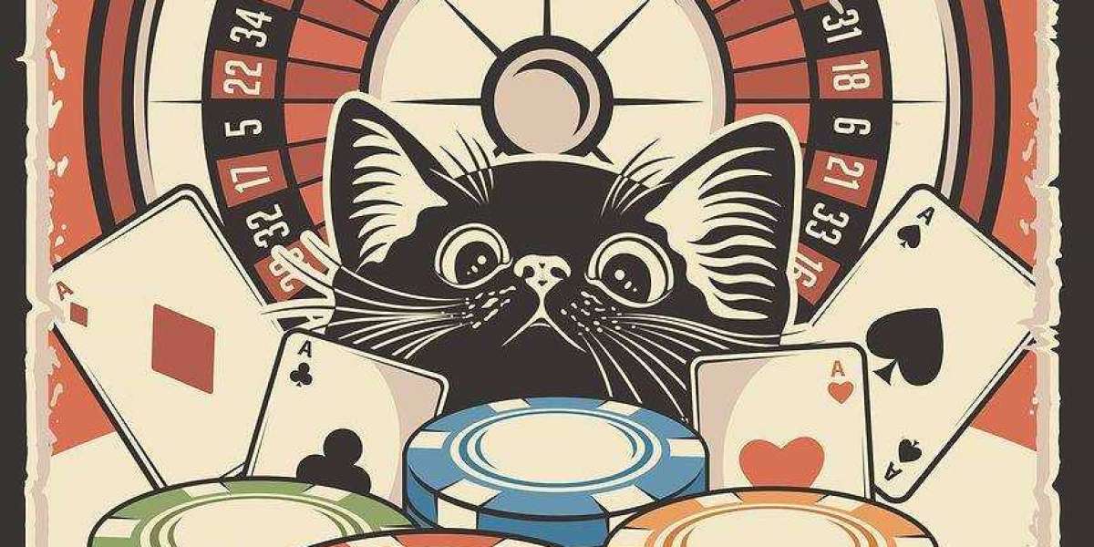 Best Evoplay Slots to Play Right Now