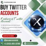 Buy Twitter Account Profile Picture