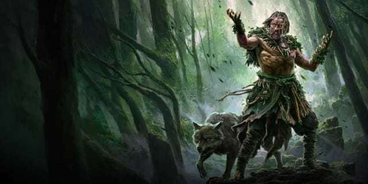 MMOexp POE 2: Small Stakes, Massive Payoffs